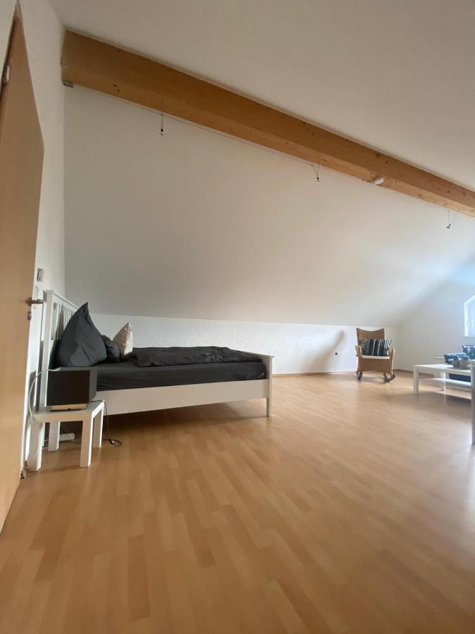 Gerolstein, Urlaub In Der Eifel 2 - Ferienwohnung エクステリア 写真